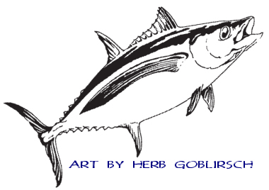 Albacore have a very long pectoral fin.